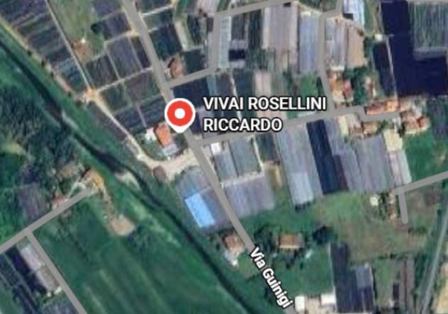 appartamento in vendita a Pescia