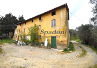 appartamento in vendita a Pescia