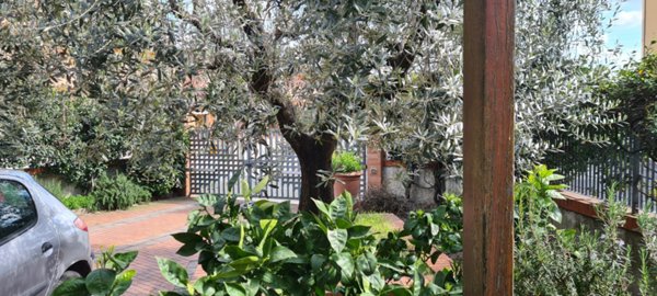 casa indipendente in vendita a Pescia