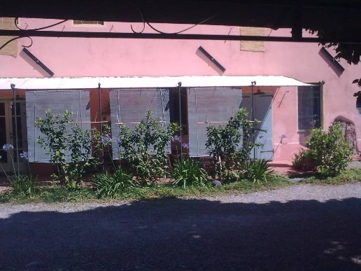 casale in vendita a Pescia in zona Pescia Morta