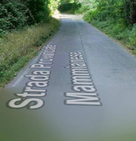 pentavano in vendita a Pescia