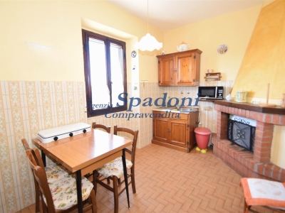 casa indipendente in vendita a Pescia in zona Vellano