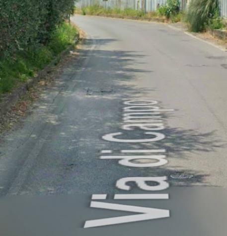 pentavano in vendita a Pescia