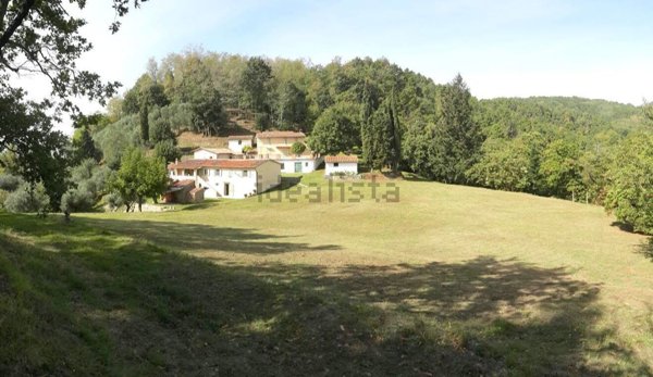 esavano in vendita a Pescia