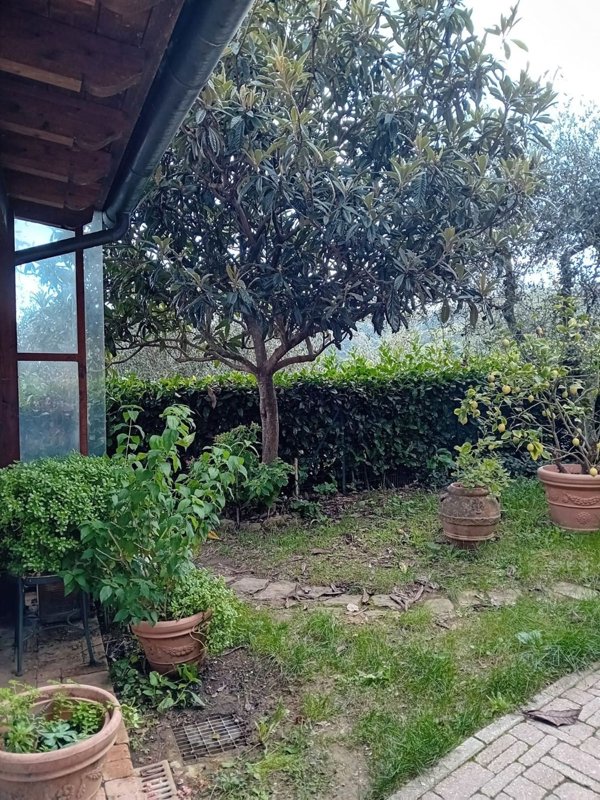 casa indipendente in vendita a Pescia