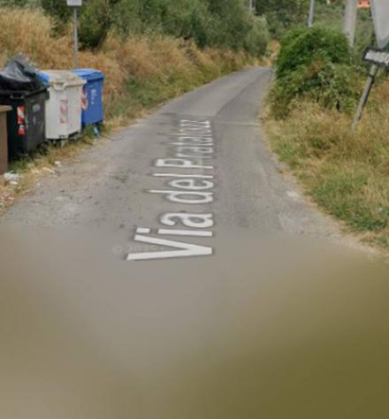 terreno agricolo in vendita a Pescia