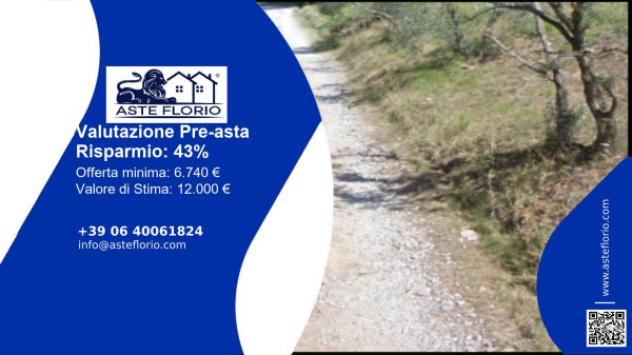 terreno agricolo in vendita a Pescia in zona Veneri