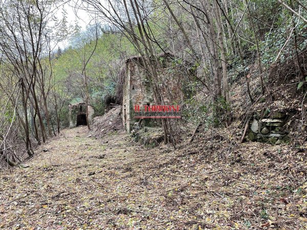 esavano in vendita a Pescia in zona Pietrabuona