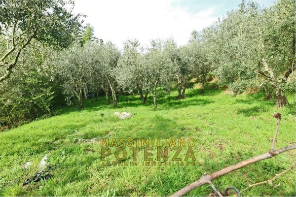 terreno agricolo in vendita a Pescia in zona Collodi