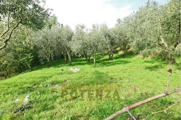 terreno agricolo in vendita a Pescia in zona Collodi