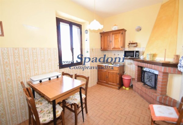 casa indipendente in vendita a Pescia in zona Vellano