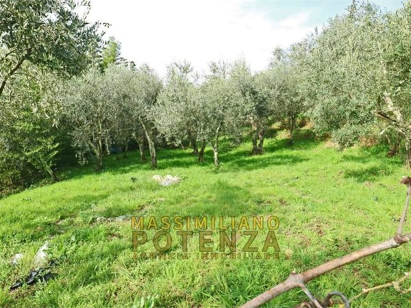 terreno agricolo in vendita a Pescia in zona Collodi