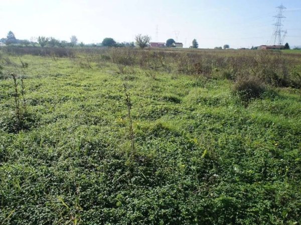terreno agricolo in vendita a Pescia in zona Pescia Morta