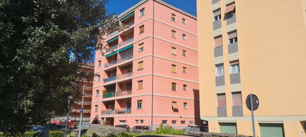 appartamento in vendita a Pescia