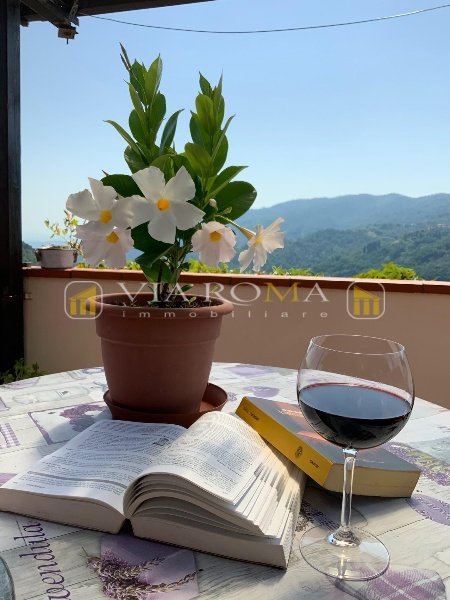 casa indipendente in vendita a Pescia in zona Aramo