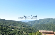 casa indipendente in vendita a Pescia in zona Vellano