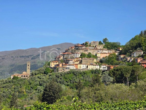 casa indipendente in vendita a Pescia in zona Vellano