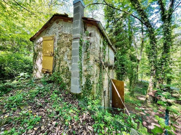 terreno agricolo in vendita a Pescia in zona Aramo