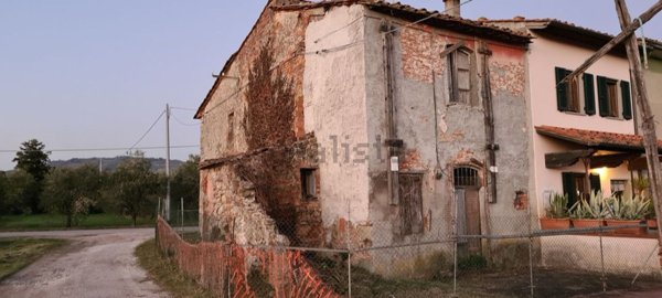 esavano in vendita a Pescia