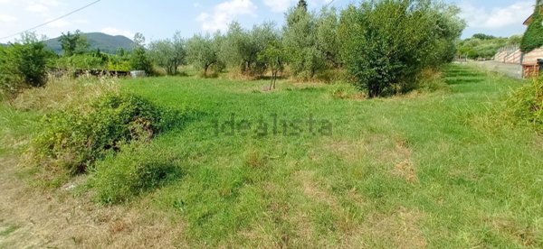 casa indipendente in vendita a Pescia