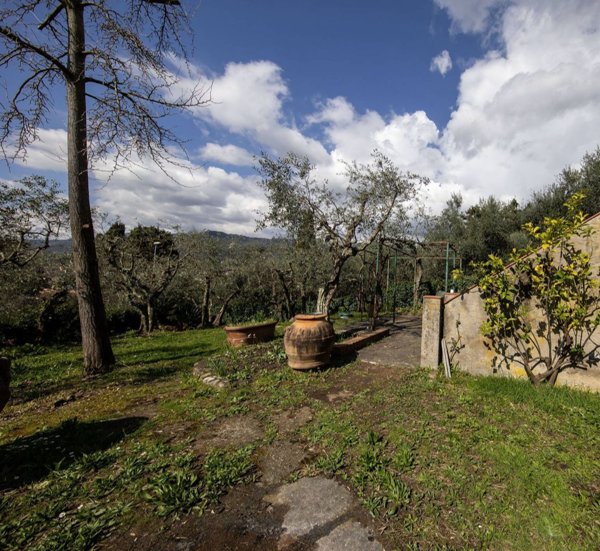 casa indipendente in vendita a Pescia