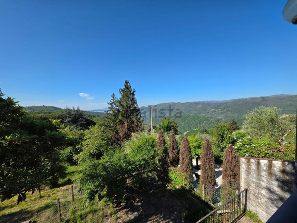 casa indipendente in vendita a Pescia in zona Vellano