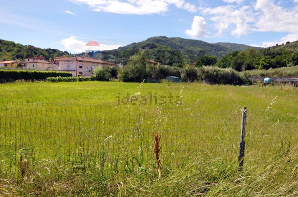 terreno agricolo in vendita a Pescia in zona Collodi