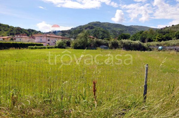 terreno agricolo in vendita a Pescia in zona Collodi