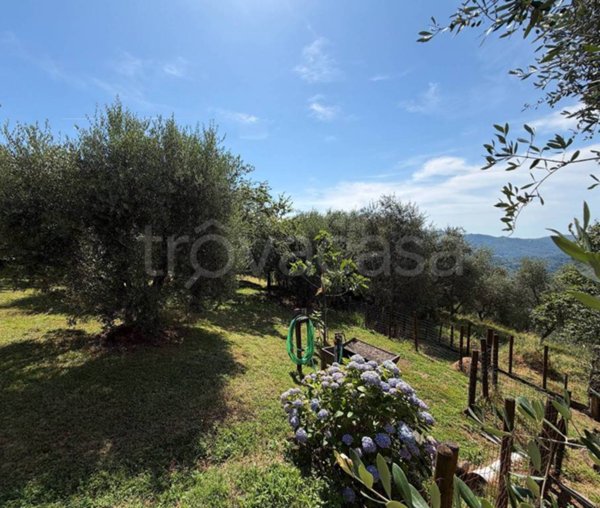 casa indipendente in vendita a Pescia in zona Fibbialla