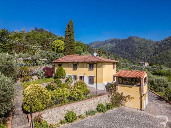 esavano in vendita a Pescia in zona Castellare