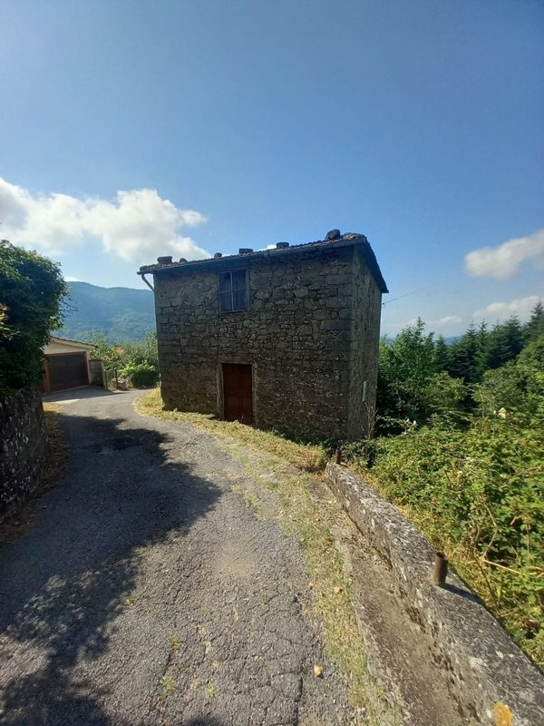 esavano in vendita a Pescia in zona Stiappa