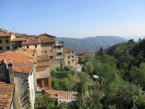 pentavano in vendita a Pescia in zona Medicina