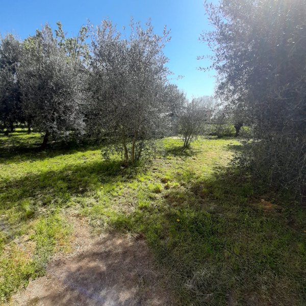 casa indipendente in vendita a Pescia in zona Collodi