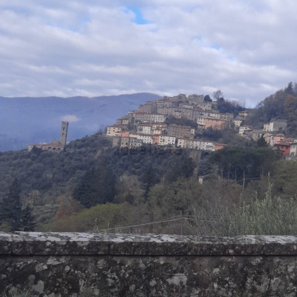 casa indipendente in vendita a Pescia in zona Vellano
