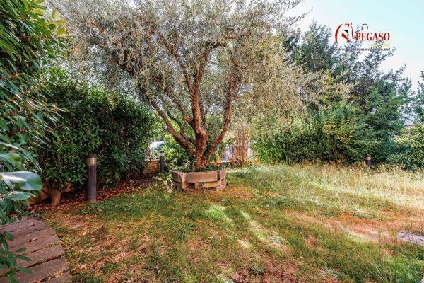 appartamento in vendita a Pescia in zona Zei