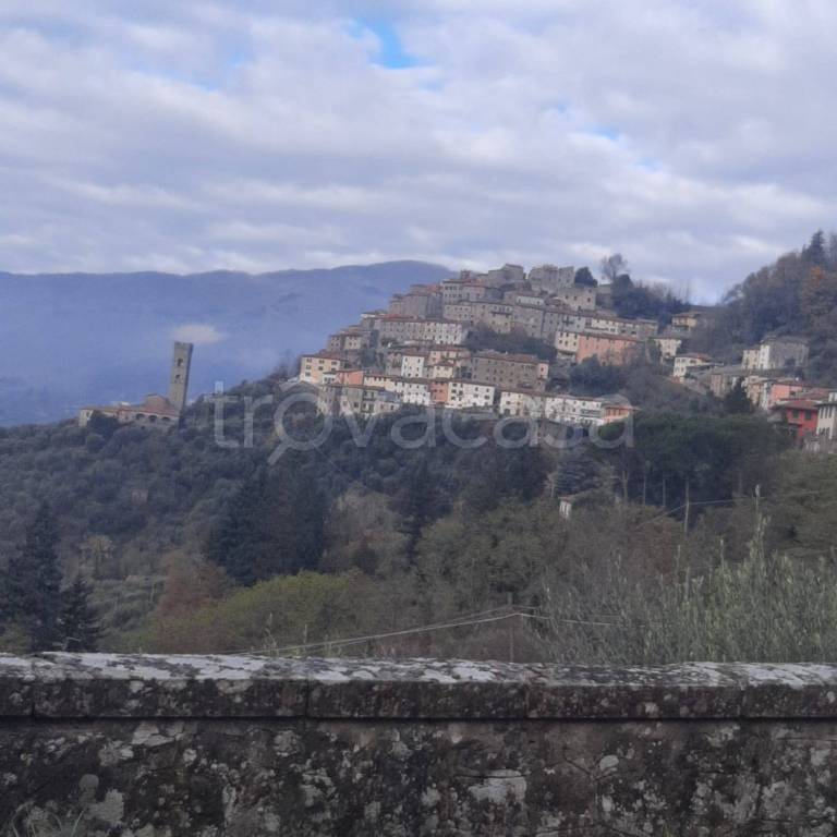 casa indipendente in vendita a Pescia