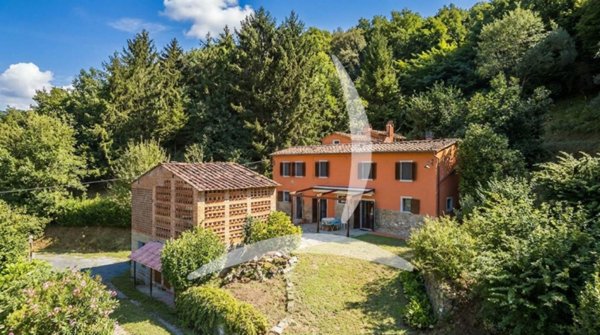 casa indipendente in vendita a Pescia in zona Pietrabuona