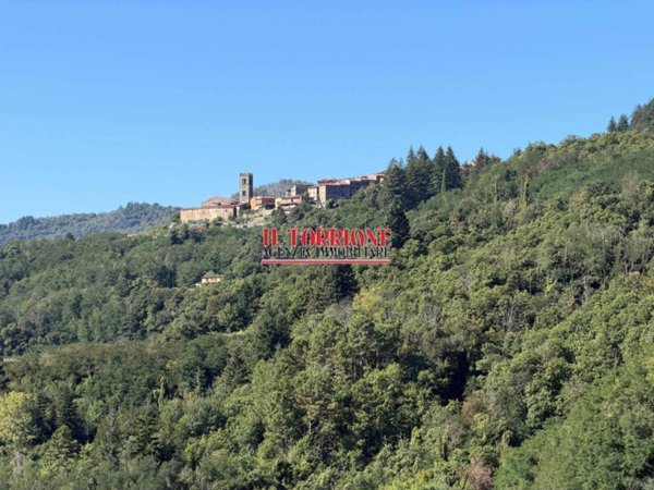 casa indipendente in vendita a Pescia in zona Castelvecchio