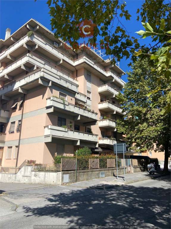 appartamento in vendita a Pescia