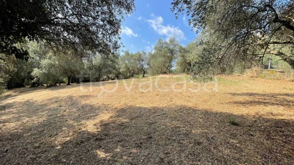 terreno agricolo in vendita a Pieve a Nievole
