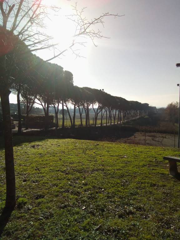 casa indipendente in vendita a Pieve a Nievole