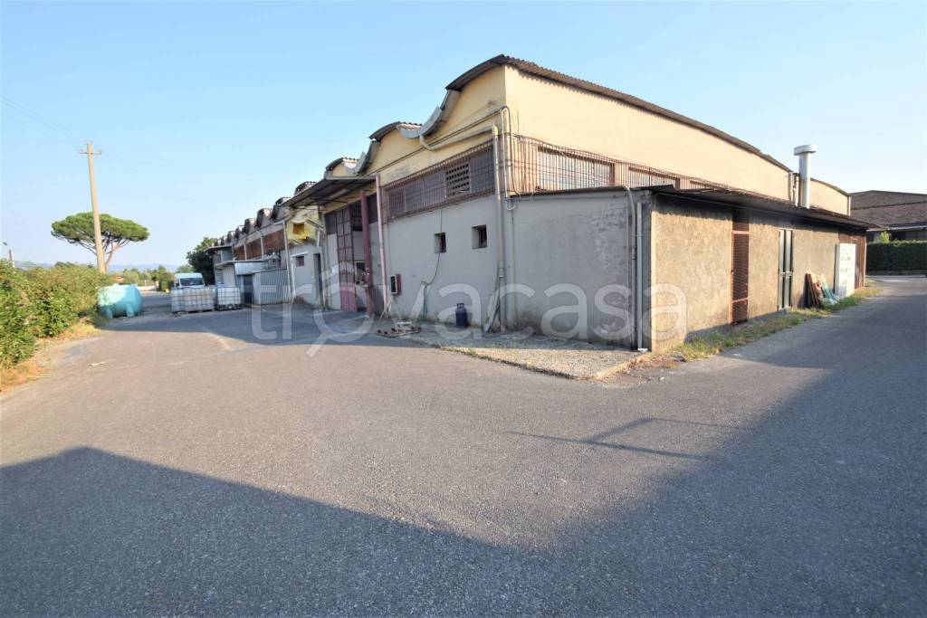 locale commerciale in vendita a Pieve a Nievole