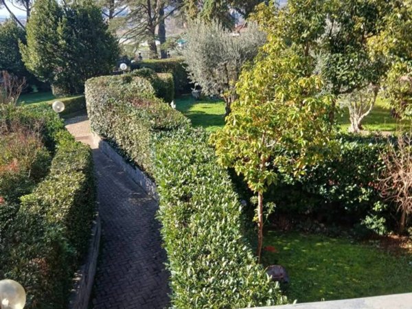 casa indipendente in vendita a Pieve a Nievole