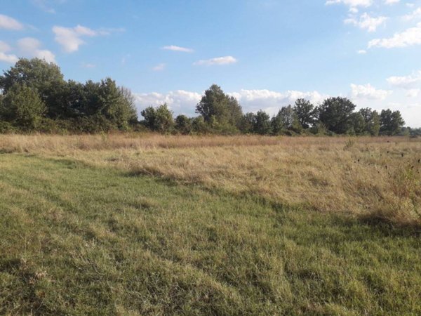terreno agricolo in vendita a Pieve a Nievole