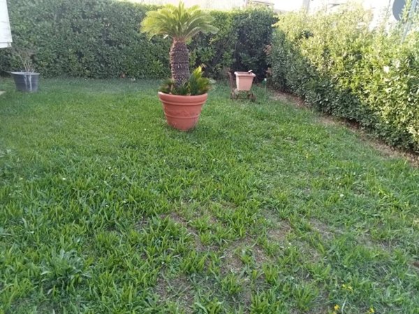 casa indipendente in vendita a Pieve a Nievole
