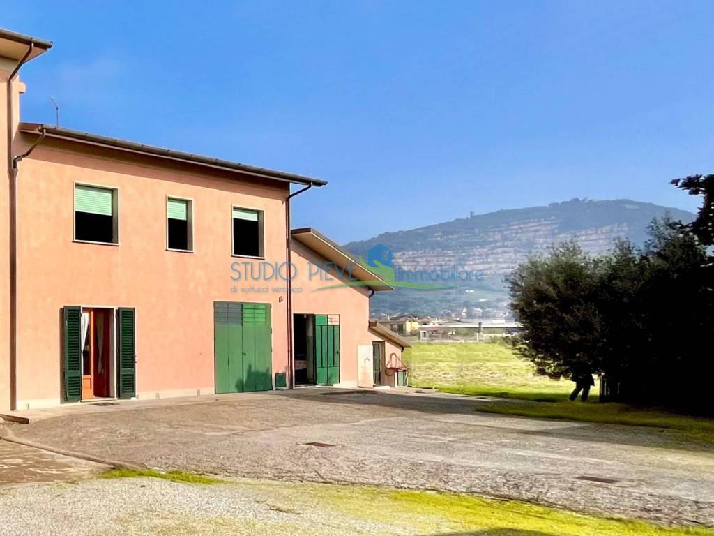 casa indipendente in vendita a Pieve a Nievole