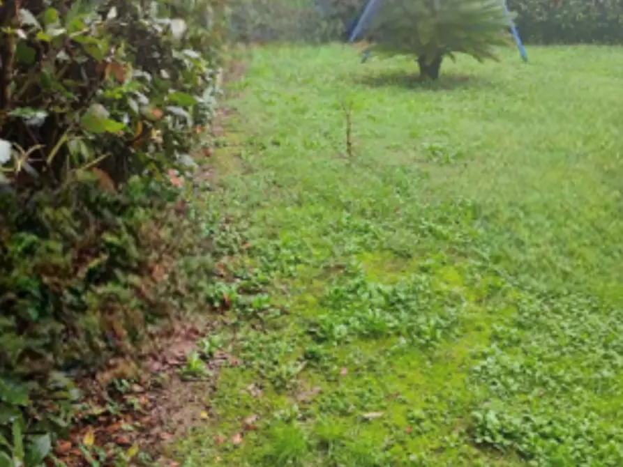 terreno edificabile in vendita a Pieve a Nievole