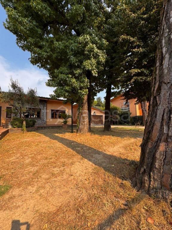 casa indipendente in vendita a Pieve a Nievole