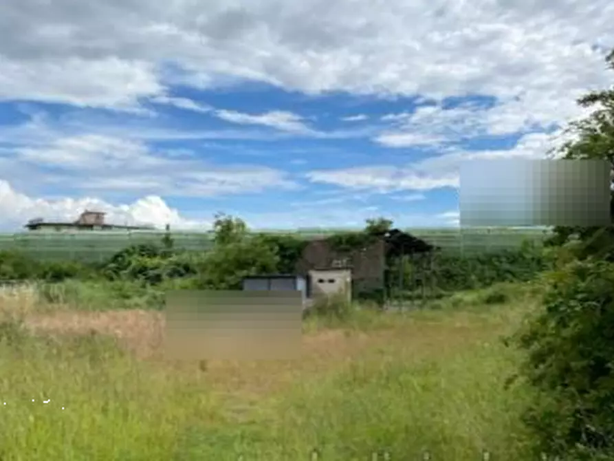 terreno agricolo in vendita a Pieve a Nievole