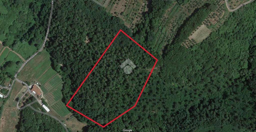 terreno agricolo in vendita a Pieve a Nievole